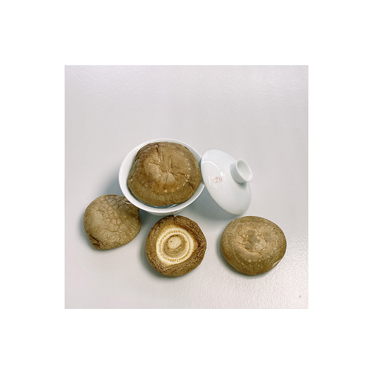 Whole Sale Tawny Crisp Umbrella Cap Bulk Dried Shiitake Mushroom