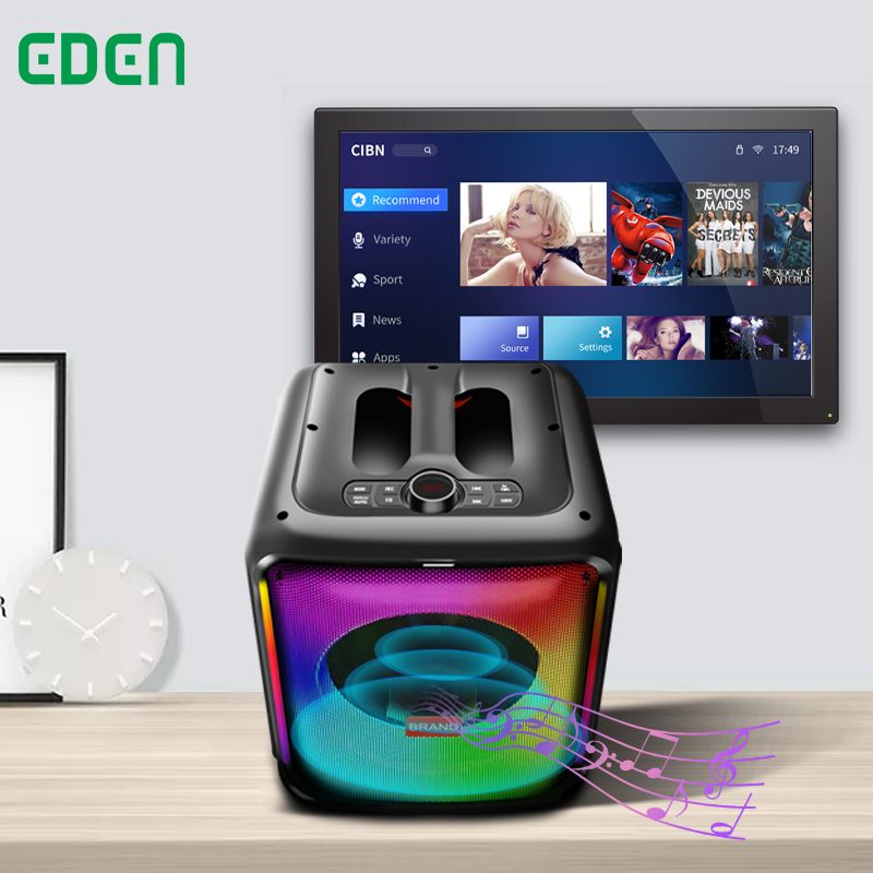 EDEN 8 дюймов проигрыватель bluetoothspeakers громкие стерео аудио колонки Многофункциональный partybox 100 портативный динамик звуковая коробка