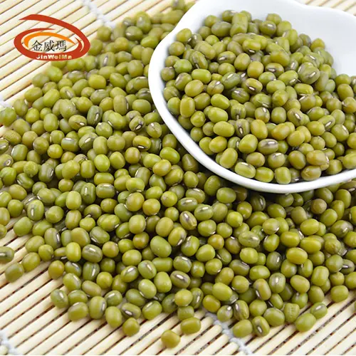 Wholesale Premium Quality Green Mung Beans Medium Grains Vigna Beans The Northeast Export Mung Bean