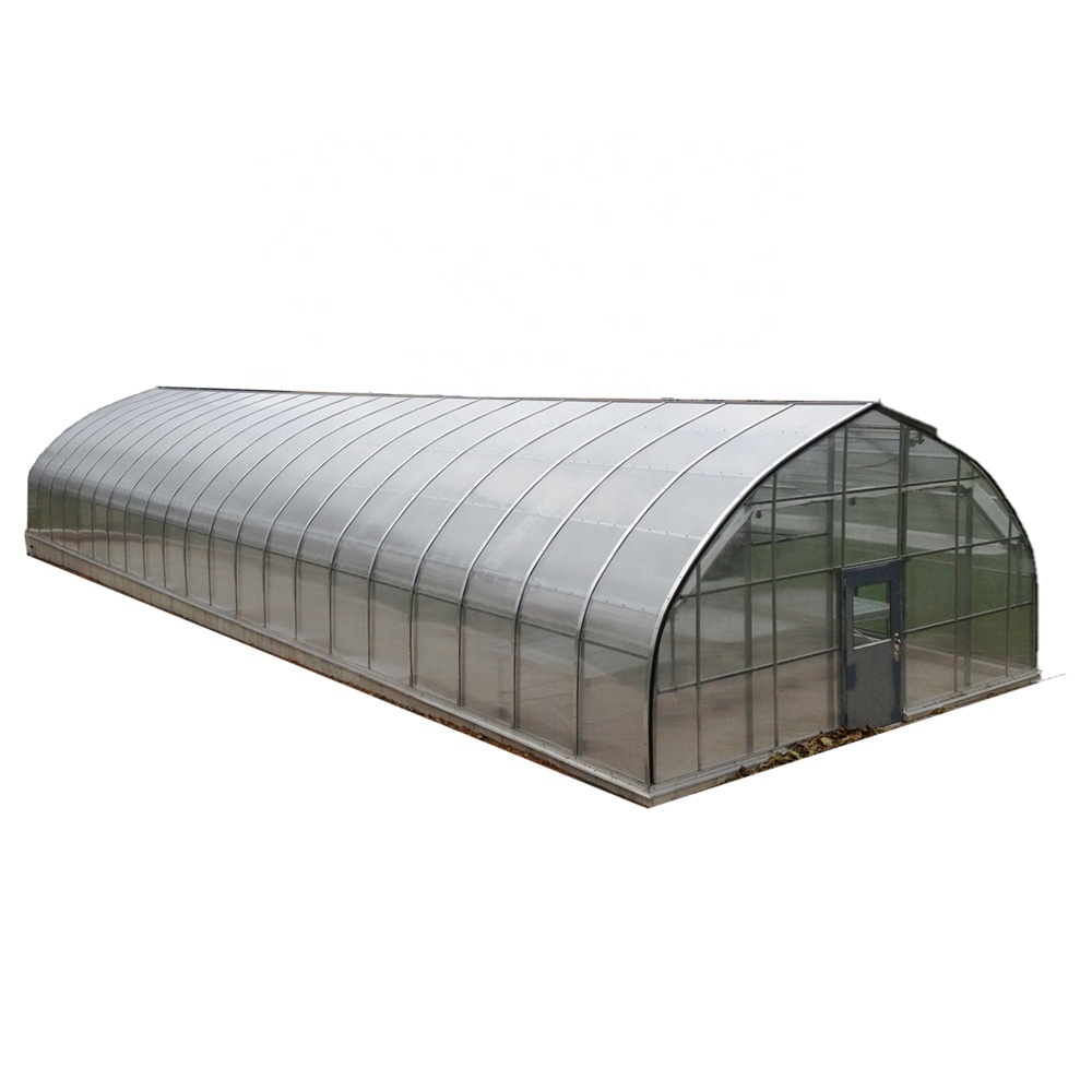Freestanding Greenhouses Single Tunnel Greenhouse Cold Shed Greenhouse Vegetables Plastic Shed Customizable PE/PC Cover