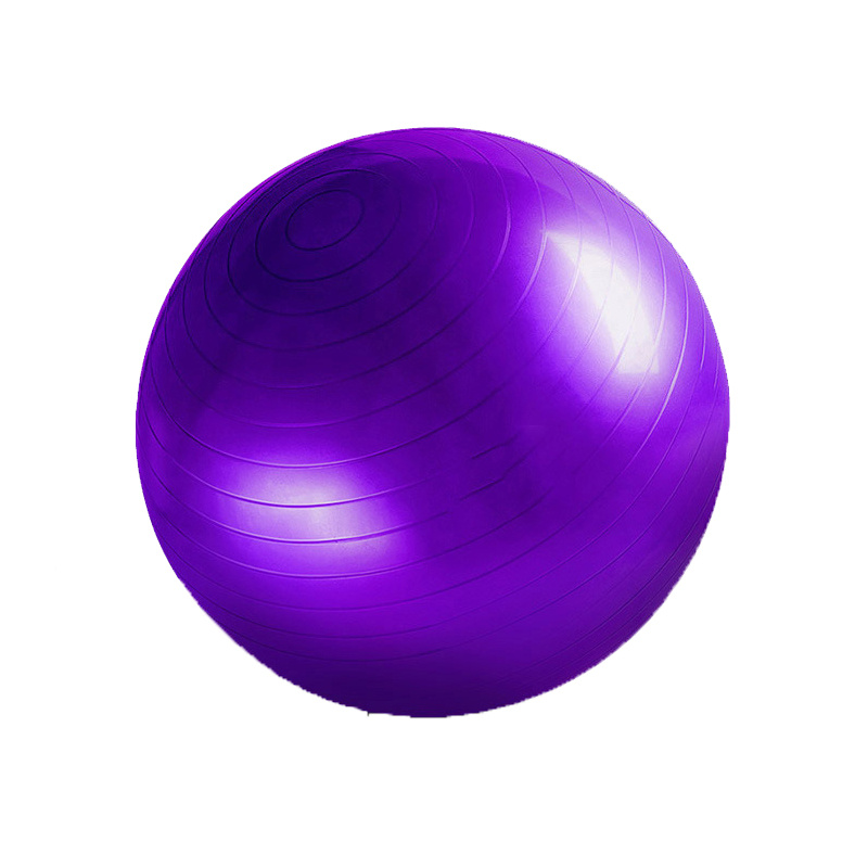 55cm 65cm 75cm Gym Home Stability Training Fitness Exercise Anti Burst PVC Balance Yoga Ball