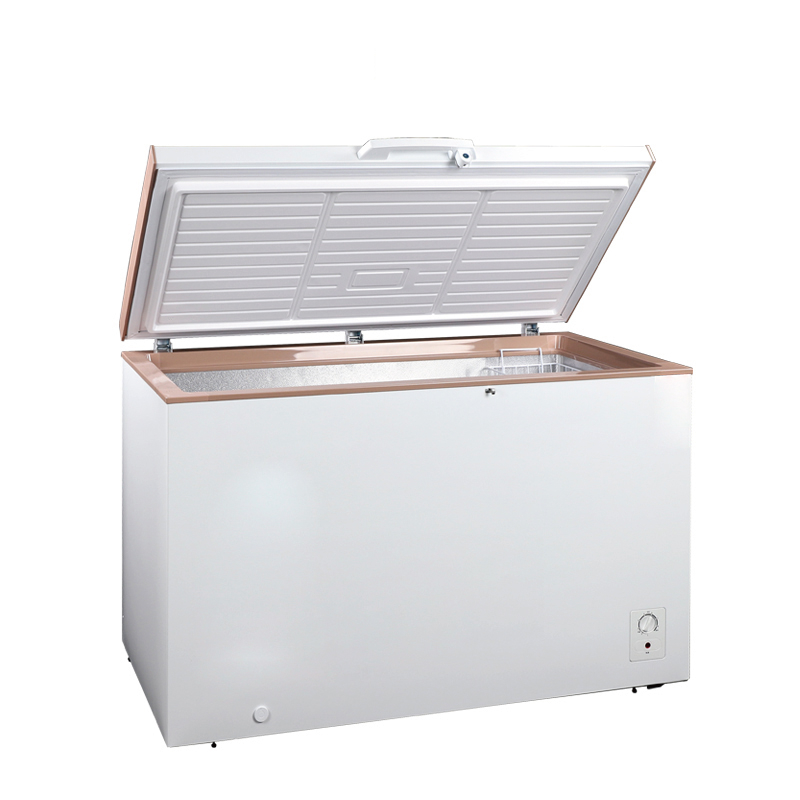 Top Open Door Commercial Chest Freezer BD-249F Single Temperature