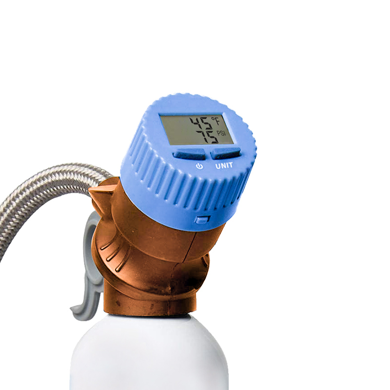 Car AC Recharge Kit and Leak Sealer with r134a Refrigerant and Wireless Digital Temperature Sensor Charging Hose