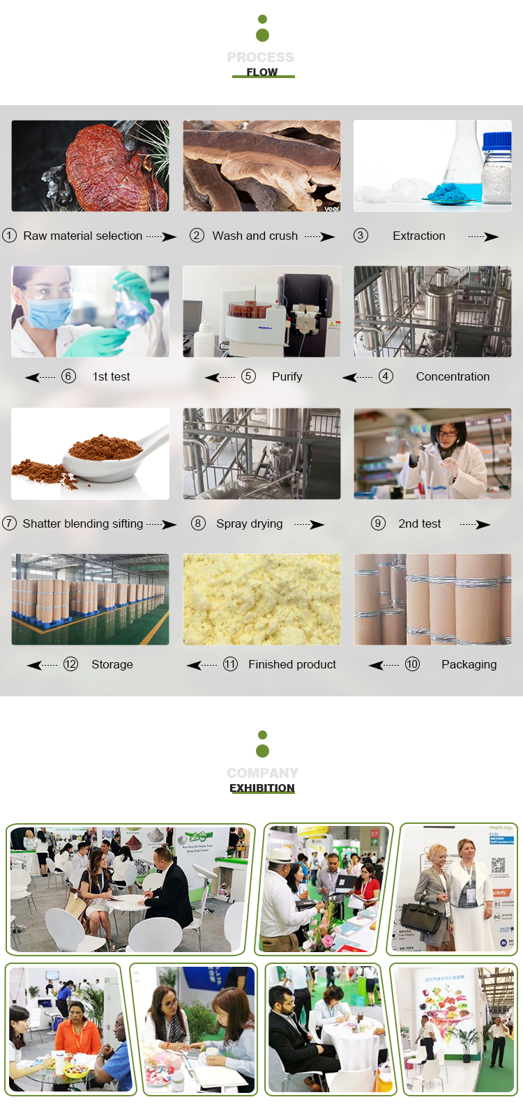 Oleoresin Capsicum, Capsaicinoids, Capsaicin Powder 95%