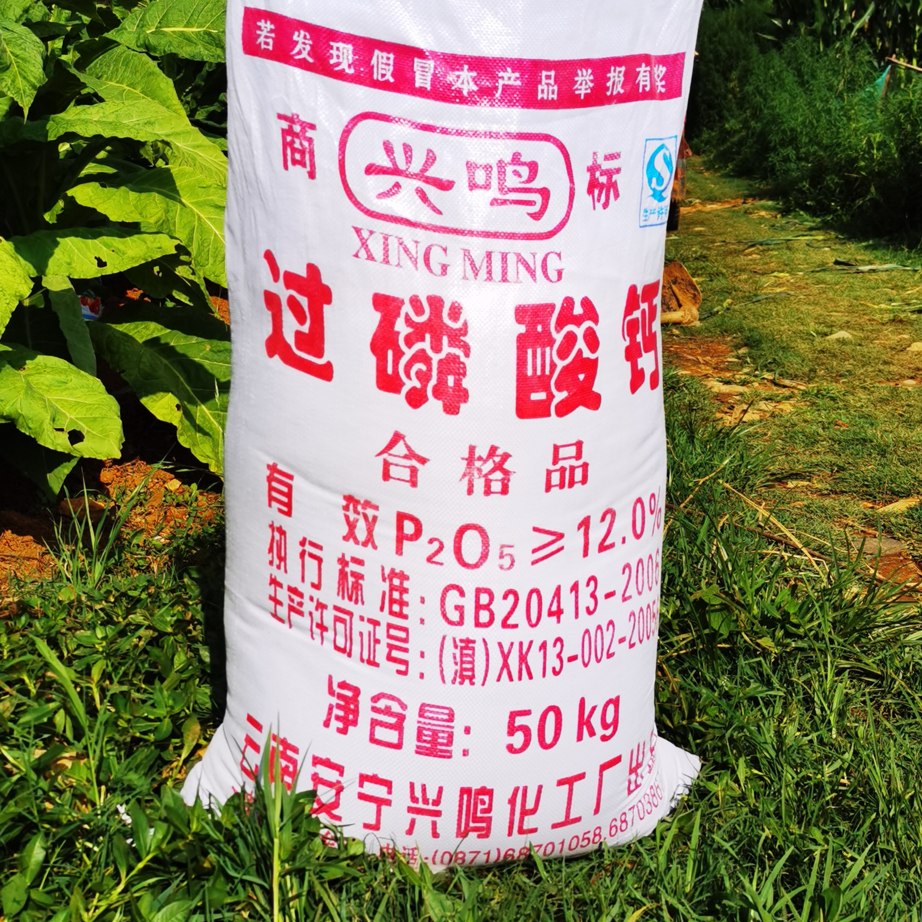 TSP/SSP Triple Superphosphate/Single Superphosphate 46% Granular Chemical Fertilizer Super Phosphate