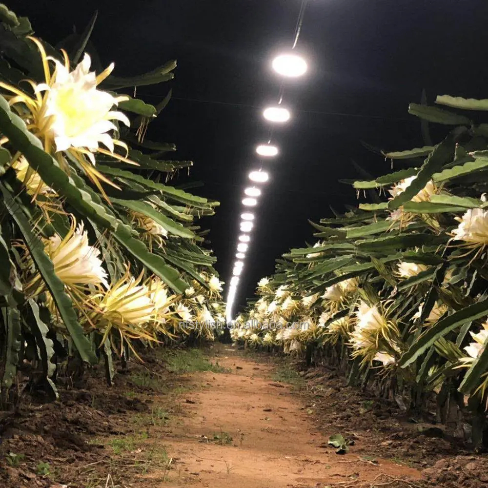21.3ft String Lights Plant Growth Light String E26 UFO Bulb 15W for Greenhouse Farm Vegetable Fruit Seedling Flower