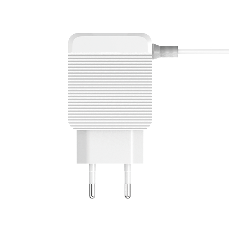 Лидер продаж, надежное качество, настенное зарядное устройство с 2 USB-портами, штепсельная вилка европейского стандарта с микрокабелем