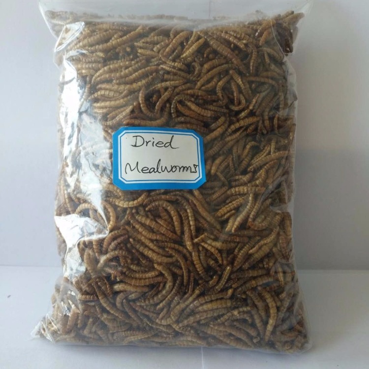 Dried Mealworm Bird Food Chicken Food Animal Food