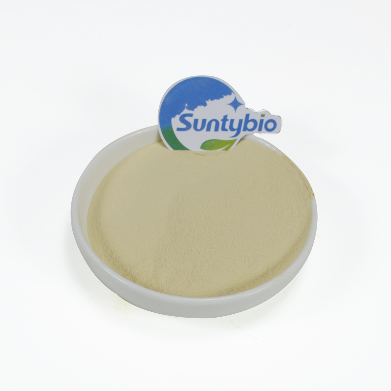 Высокий концентрат Bacillus subtilis 200/500 млрд cfu/g для микробной ферментации