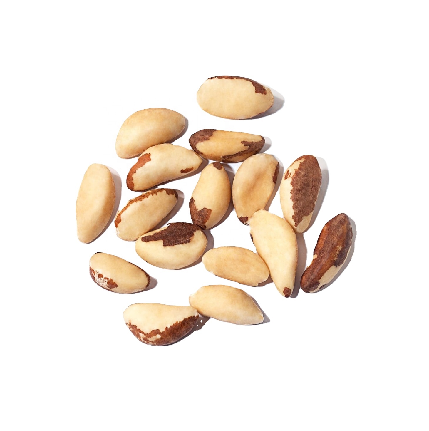 brazil nuts wholesnut for eating dried raw shelled brazil food grade 100 yellow top high quality Various size brazil nuts price