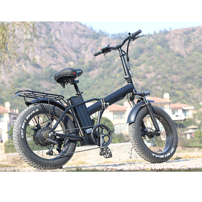 GSL Китай 48 в 60 в Ebike 009 литиевая батарея доставка пиццы для взрослых Электрический велосипед Грузовой электровелосипед