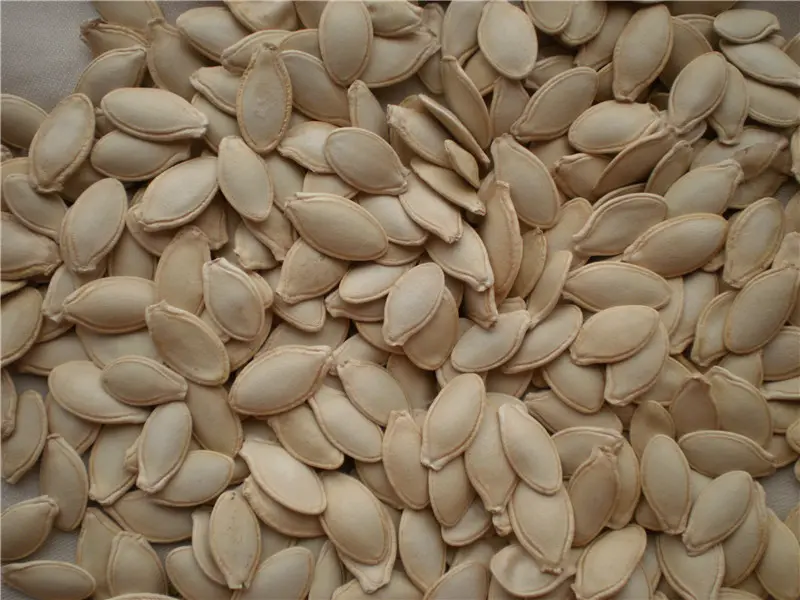 COME FROM VIETNAM: DRIED PUMPKIN SEED FROM FRESH PUMPKIN WITH HIGH QUALITY AND GOOD PRICE