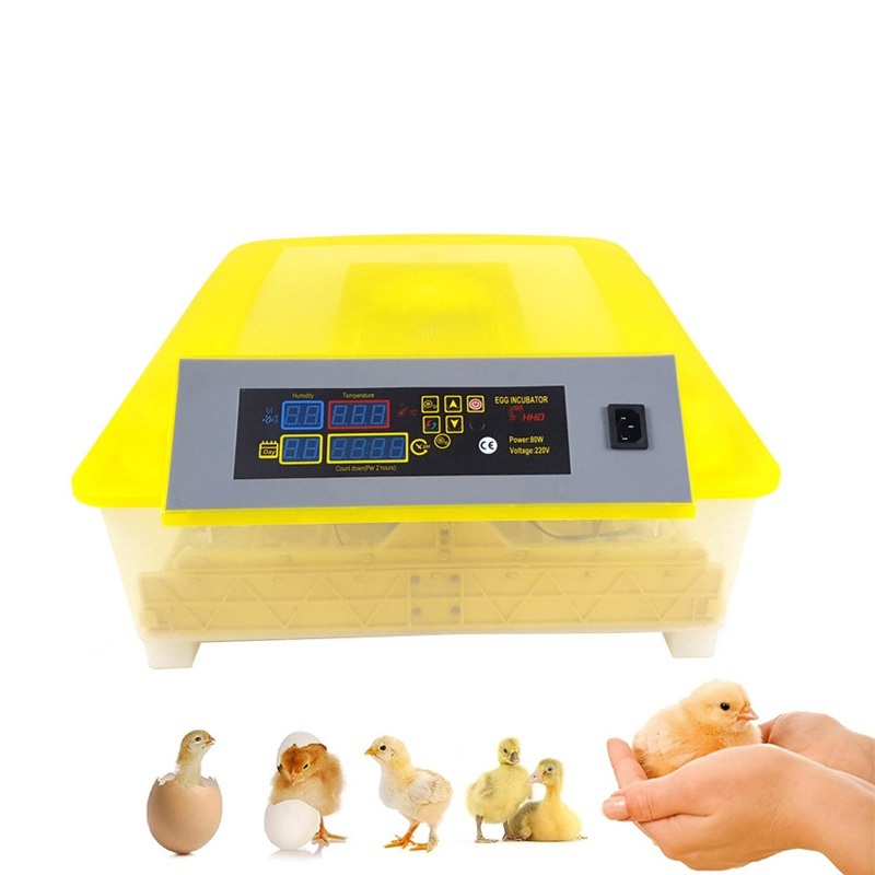 High-Precision 56-Egg Automatic Incubator for Poultry, Farm, Quail, Bird, Duck, and Ostrich Use, 220V New Condition with Motor Core Components