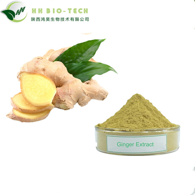 ISO/KOSHER/HALAL Сертифицированный чистый экстракт имбиря 5% имбиря