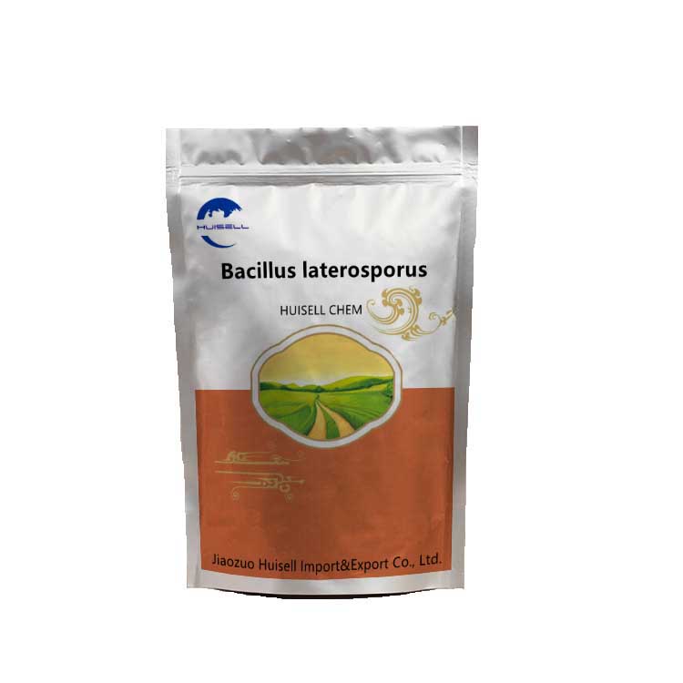 Probiotic Bio Fertilizer Bacillus Laterosporus for Agriculture