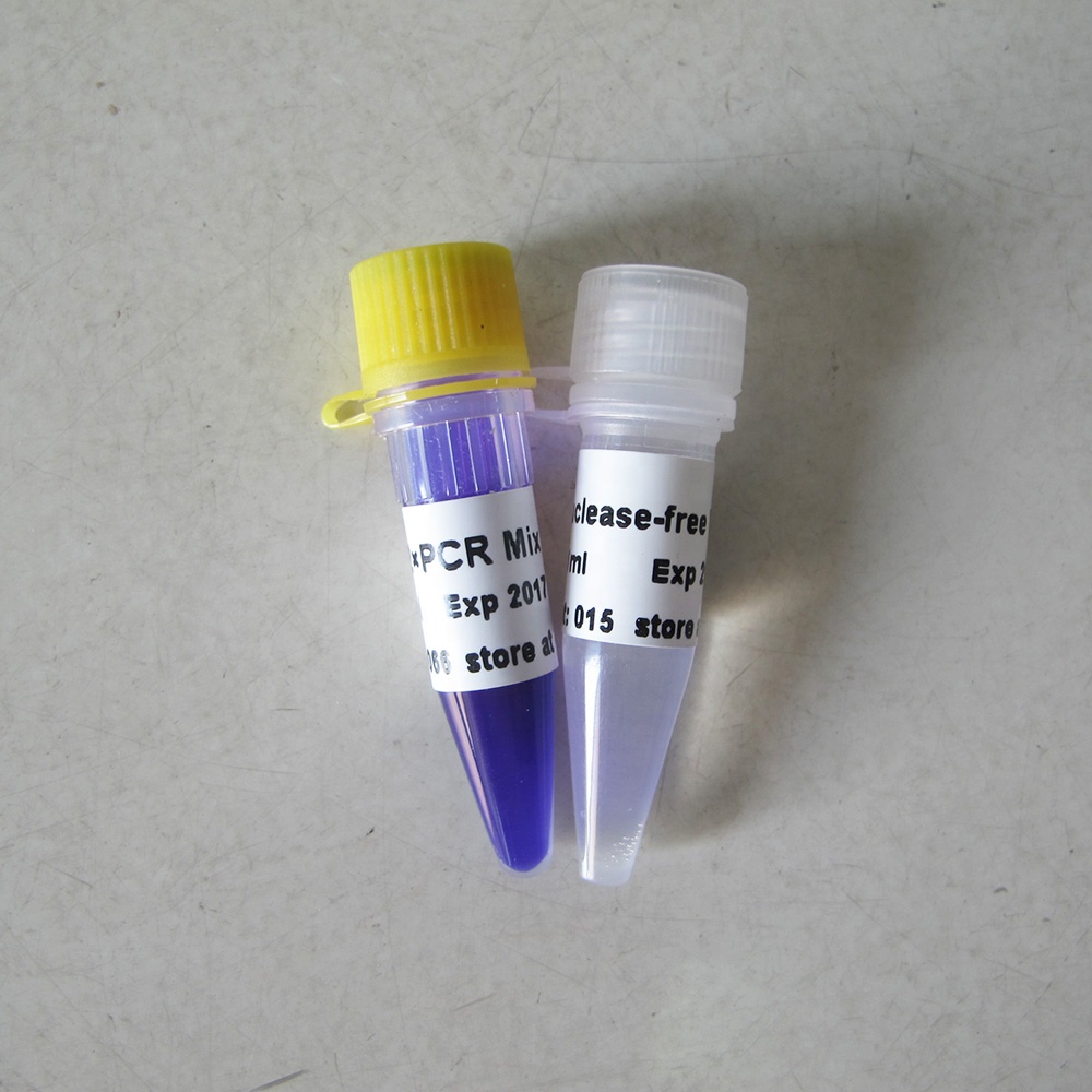 Taq mix (2X)