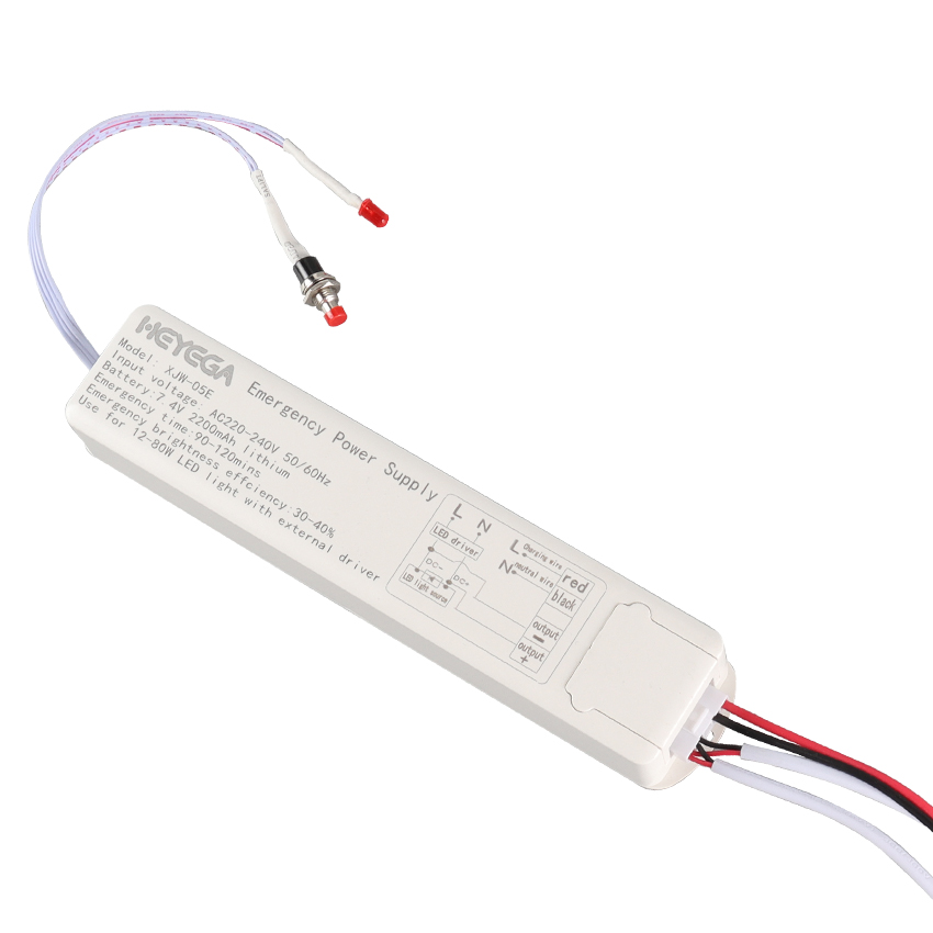 110V/220 12-80W Led Light Constant Current Emergency Power Pack Driver Supply