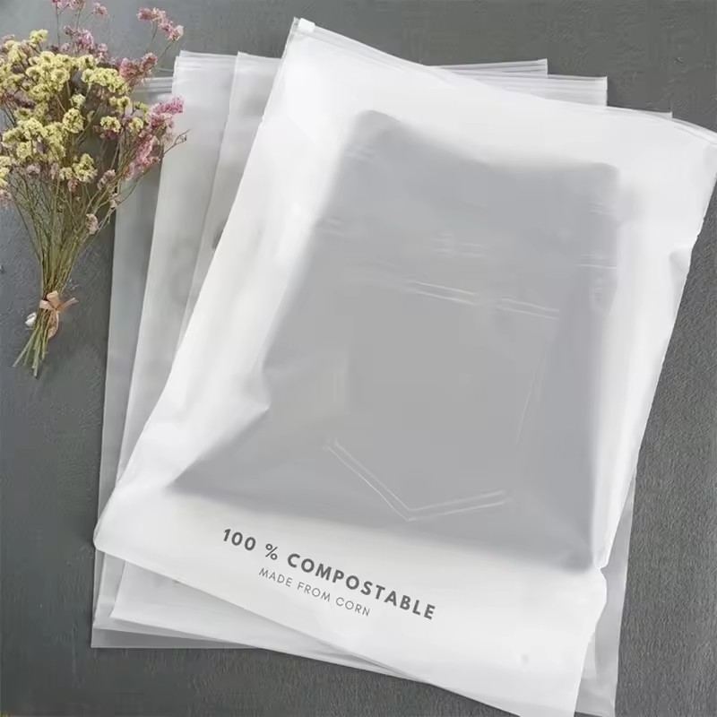 Custom Zipper Packaging Bag Printed Logo Plastic Eco Friendly Resealable Frosted Transparent Ziplock Bag