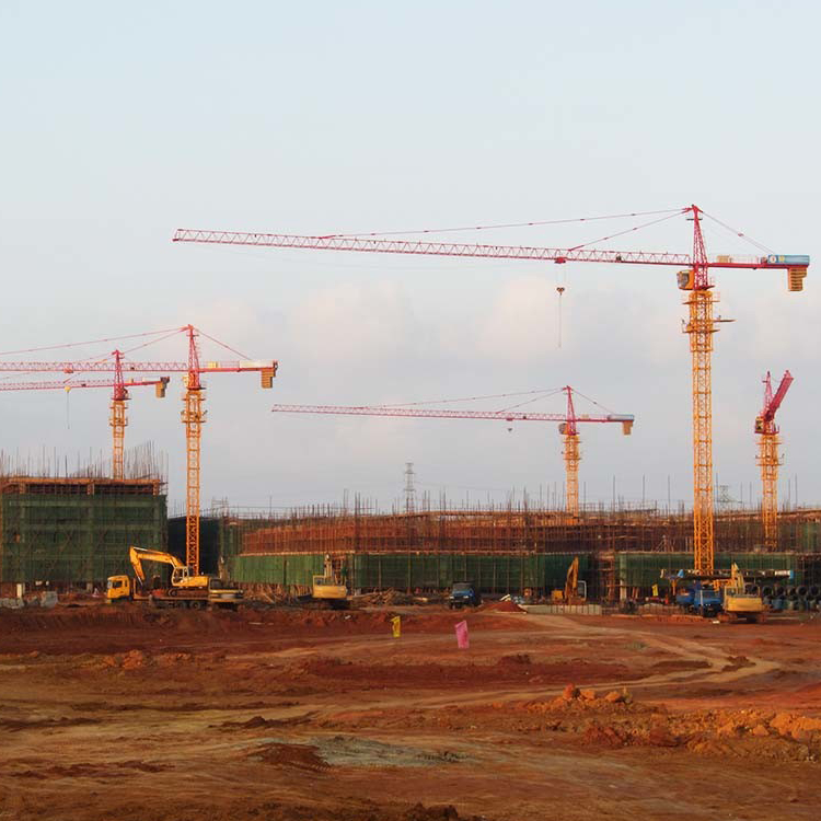 Famous factory 8 Ton Tower Crane SYT125