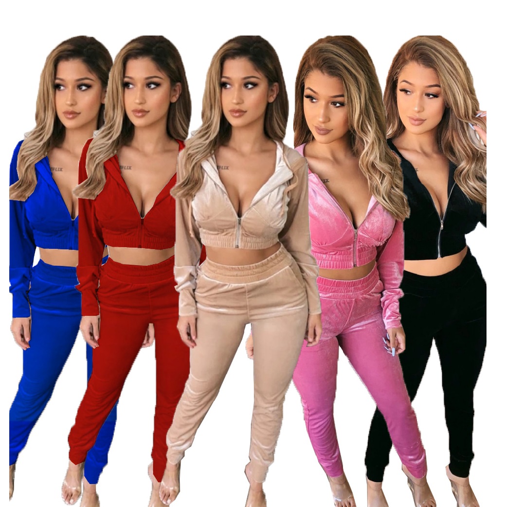 2021 Spring Outfit Two Piece Women Long Sleeves Hoodie Sweatshirt Crop Top Tracksuit Ladies Velvet 2 Piece Jogger Clothing Set