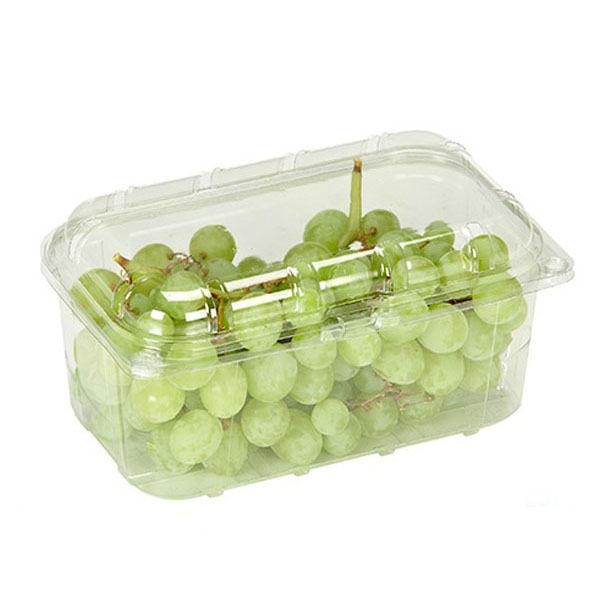 PET Blister Plastic Custom Disposable Supermarket 500g Grape Packing Box