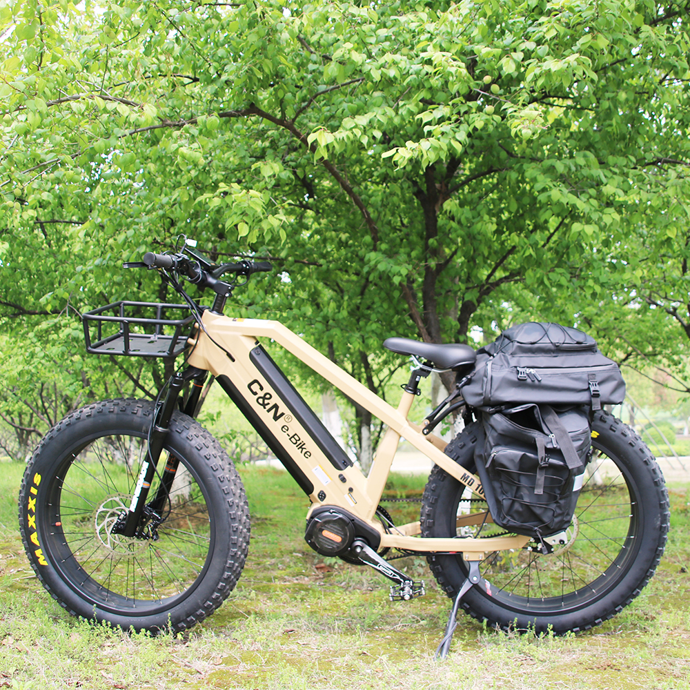 Электрический велосипед Rohloff, 14 скоростей, 48 В, 1000 Вт