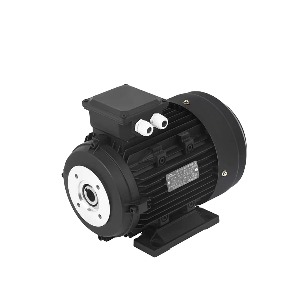 2.2kw 3kw 4kw 4.4kw 4.5kw 5kw 5.5kw 7.5kw 11kw 15kw 18.5kw мойка высокого давления стиральная машина полый вал двигателя