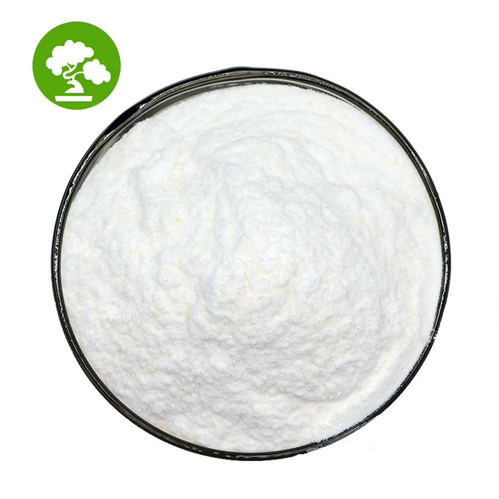 Top Quality Food Grade Probiotics Lactobacillus Rhamnosus Powder