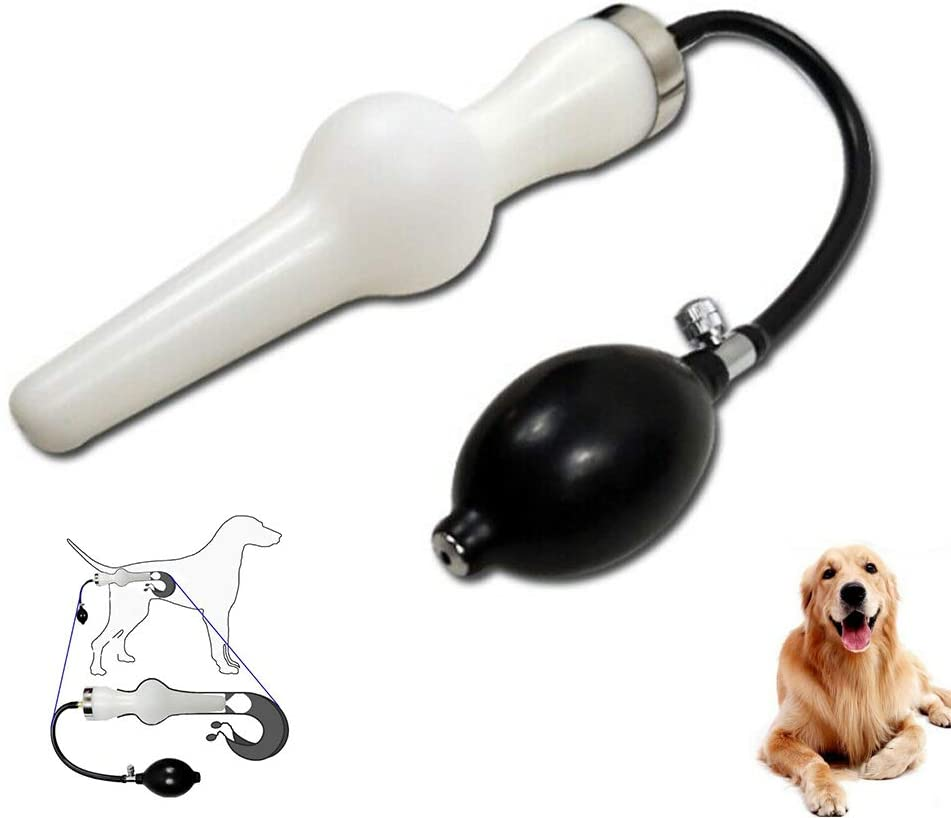 Dog Artificial Insemination tools