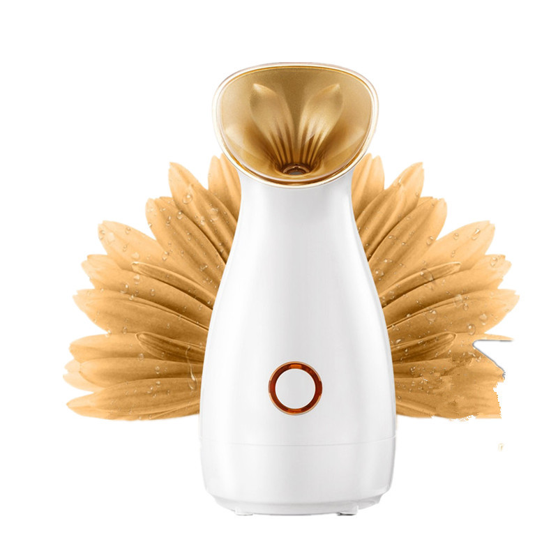 2021 Wholesale Face Mist Moisturizing Fast Sprayer Professional Facial Steamer Hot and Cold Facial Steamer