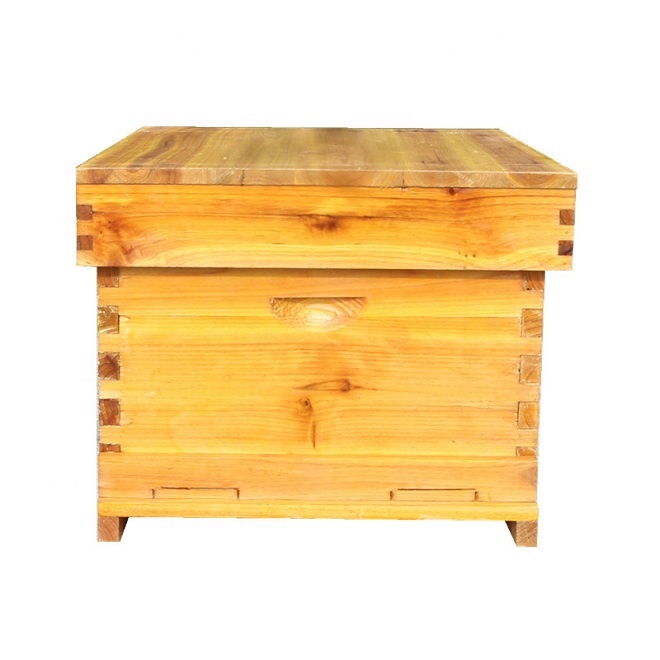 Good Price Spruce Wood Practical Professional Fir Beehive Box for Bee