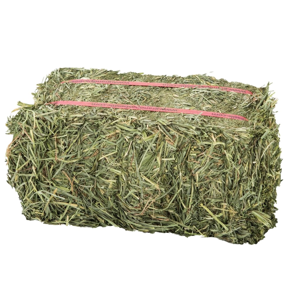 Cheap Top Quality Alfafa Hay for Animal Feeding Stuff Alfalfa ,hay/Timothy hay