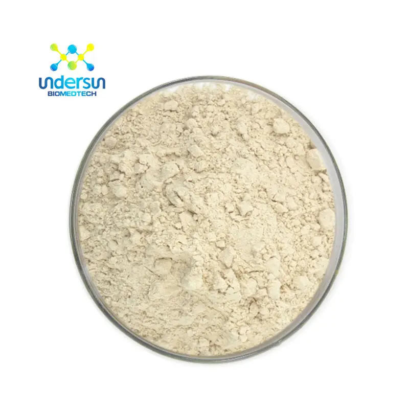 Undersun low prices food grade bulk gluten meal organic textured hydrolyzed brown rice bran protein isolate concentrate powder