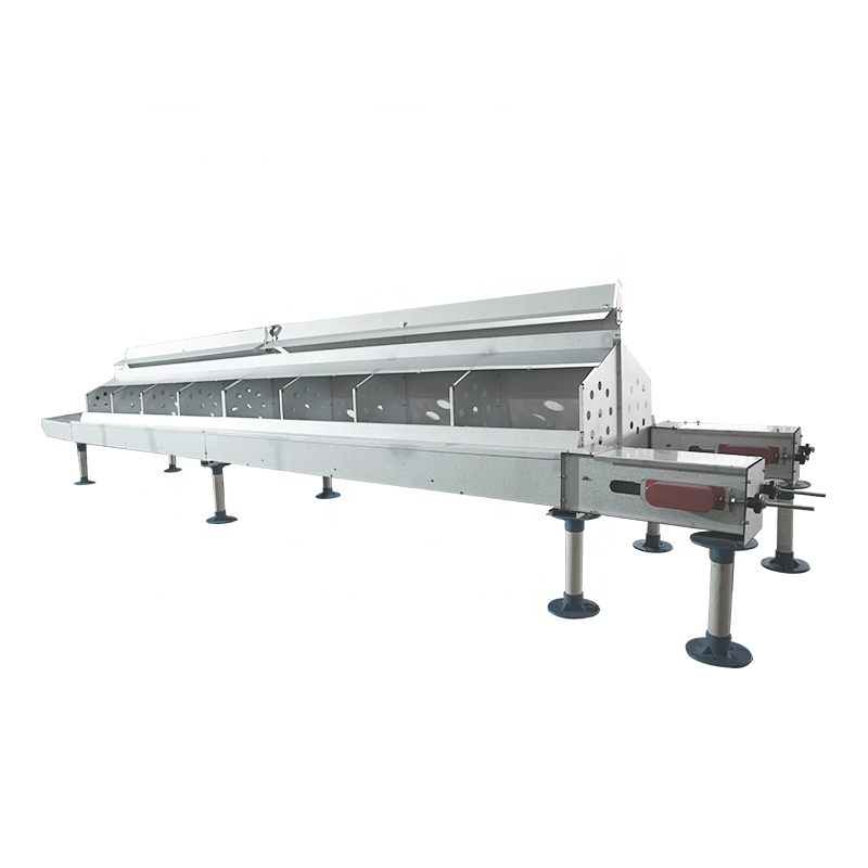 Chicken coop automatic egg machine High efficiency breeding chicken fast water line feeding line