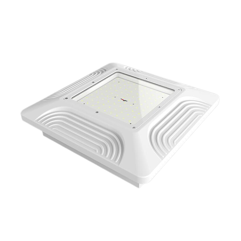 Factory Direct Sales 100w Outdoor Lighting Eco-friendly Fashion Led Canopy Light