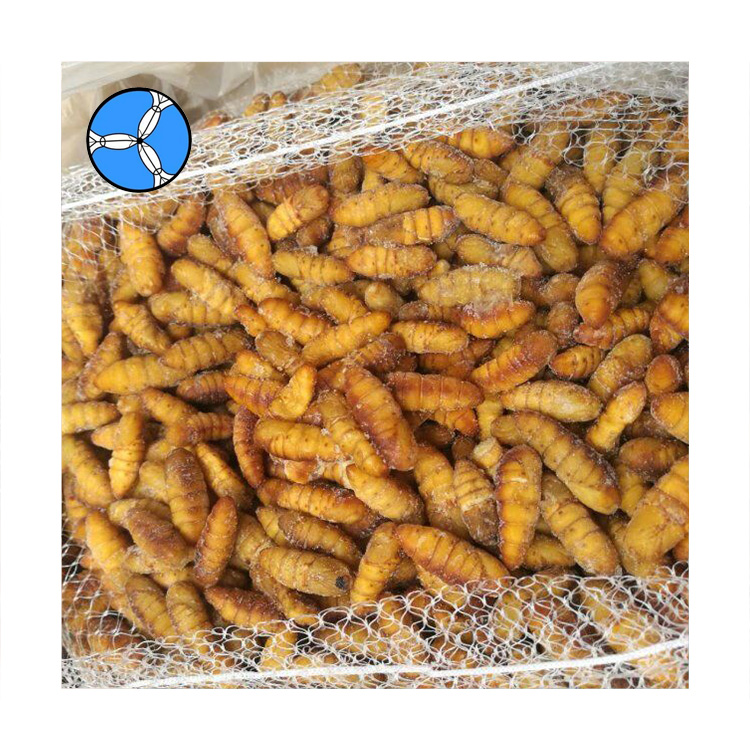 Морепродукты SANFENG, замороженные продукты, шелкопряда, хризалис, шелкопряда, цена