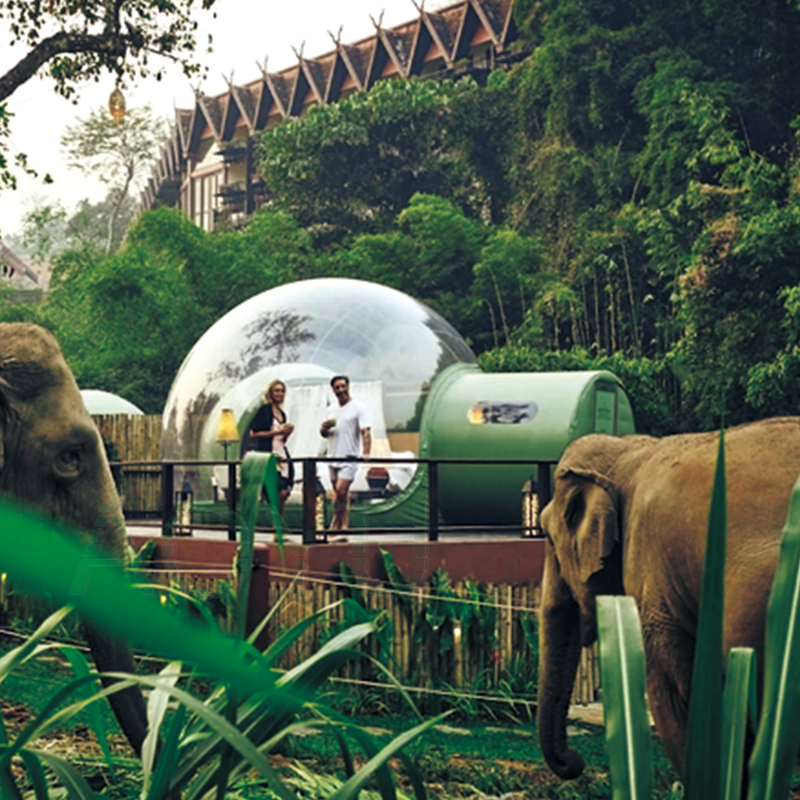 AOYU Customize PVC inflatable dome tent outdoor event inflatable transparent bubble tent house for advertising