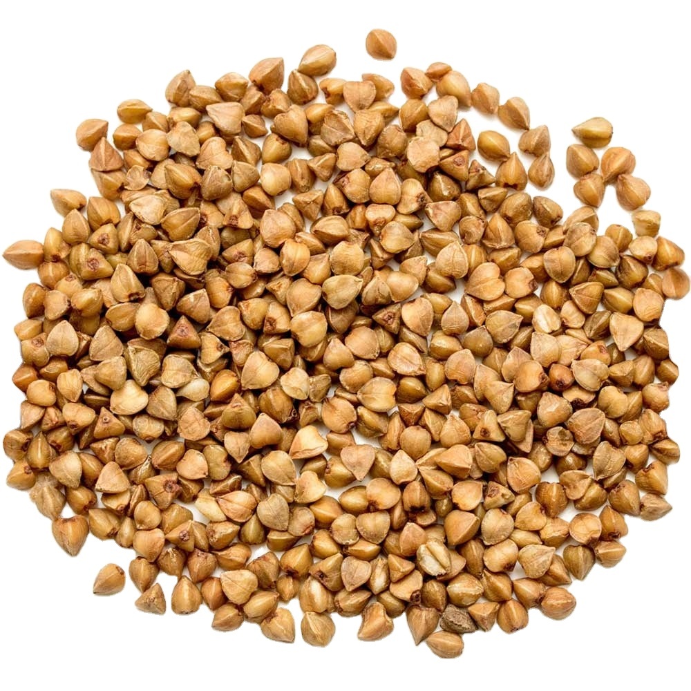 Wholesale Organic Buckwheat Grain