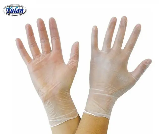 free samples powder/powder free disposable pvc gloves vinyl