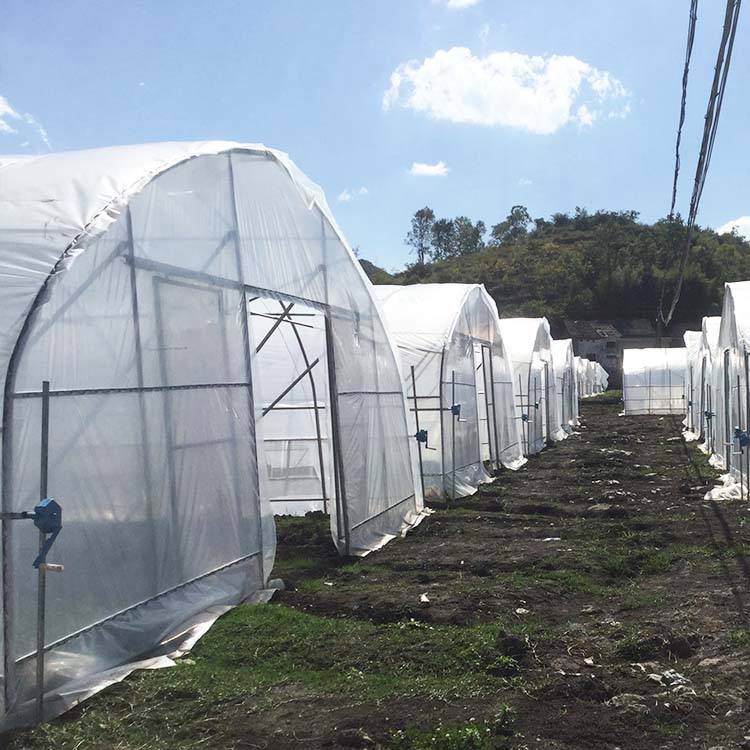 Hot Sale Agricultural Greenhouse Structure Plastic Film Single Span Greenhouse