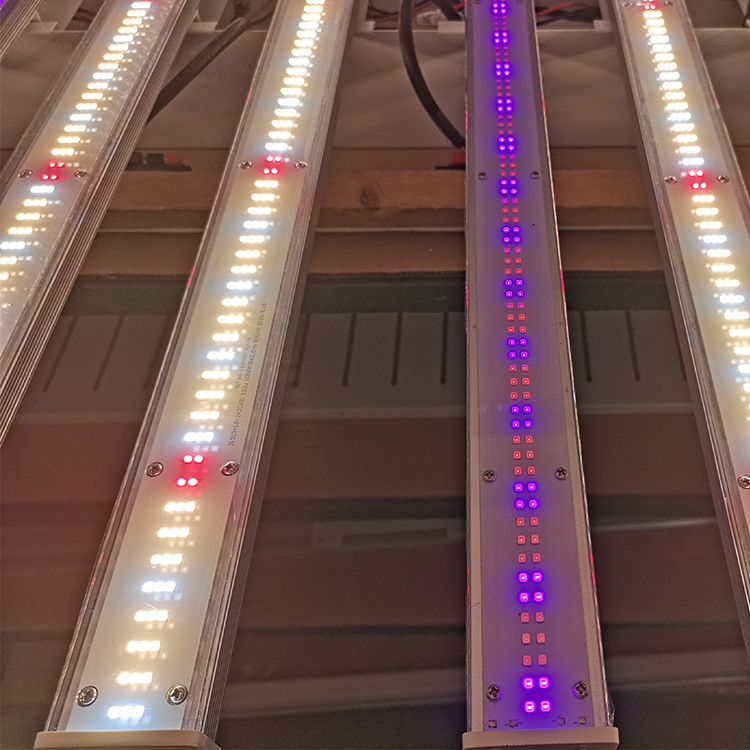 2021 LM281B LM301B 1200W 1500W 2000W with ETL for Professional Lighting UV+IR Led Grow Light//