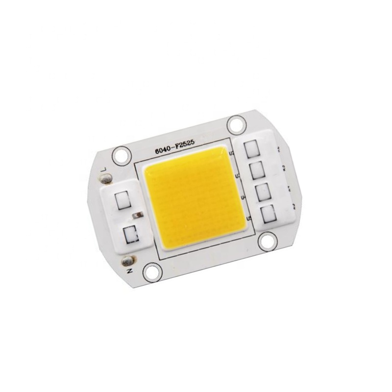 AC 220V 20W 30W 50W без водителя COB светодиодный чип для DIY прожектор