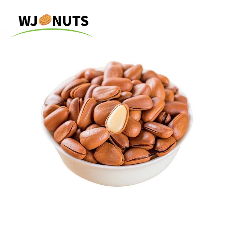 Wangjiang delicious turkish pine nuts buyers pine nuts in shell