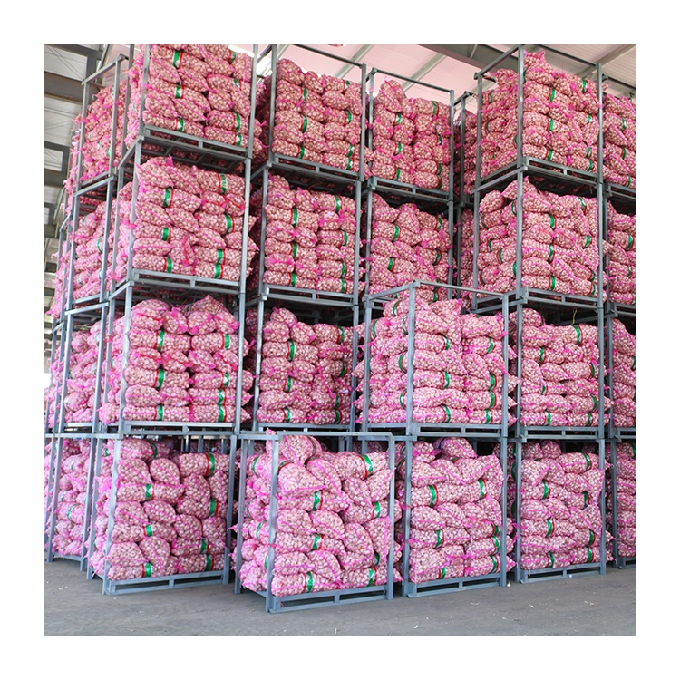 Новейший Урожай Bawang, китайская сетчатая упаковка, свежий чеснок оптом