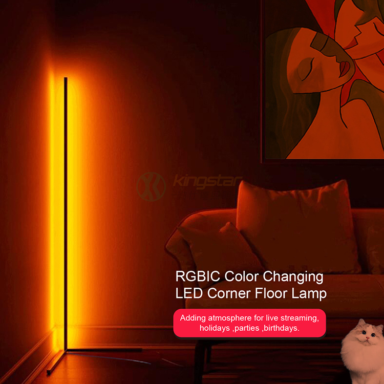 New design corner dimmable LED Floor Lamp smart control mood light for bedroom living room decoration floor lamp