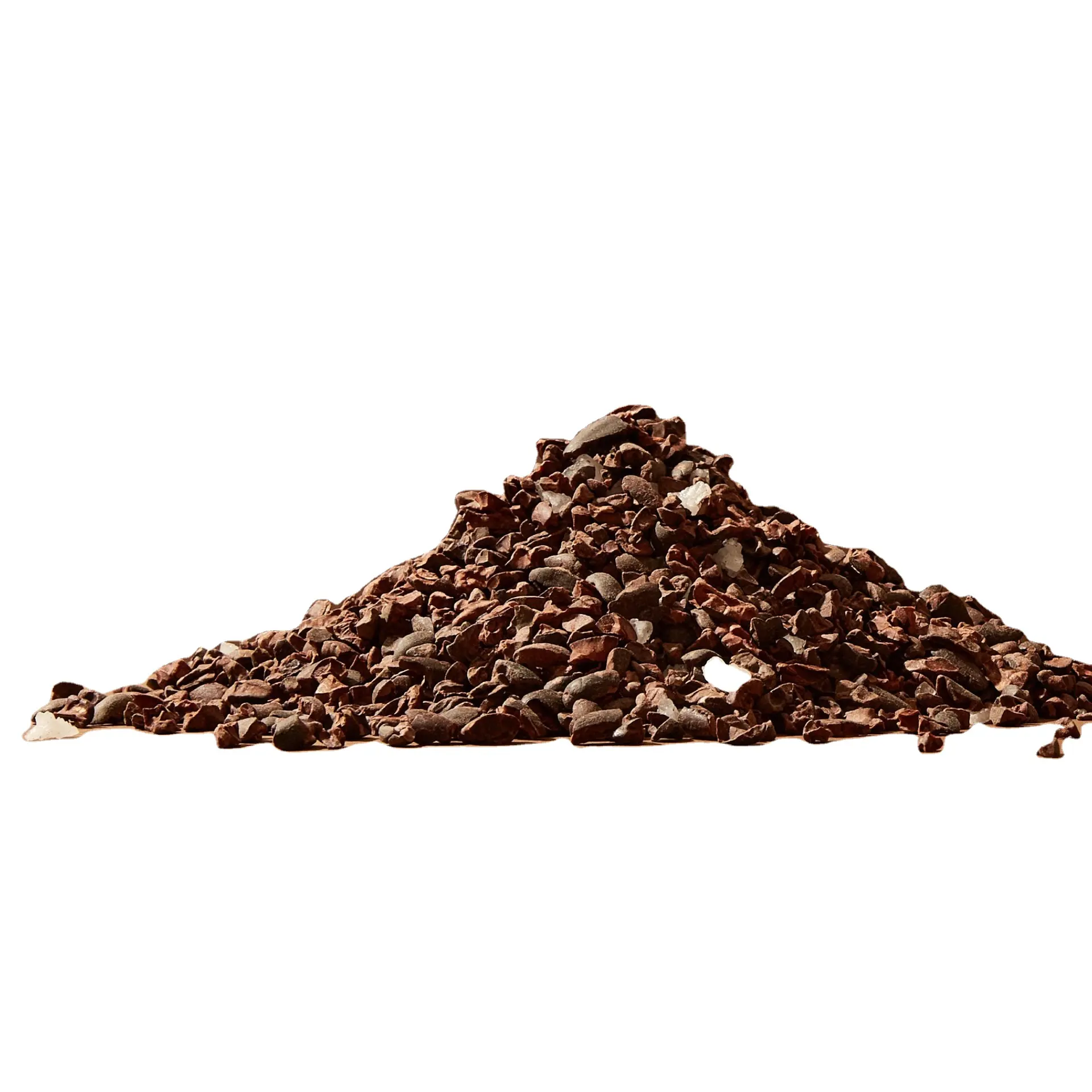 Dried cocoa nibs crumbled bits of dried cacao beans Cacao nibs for sale