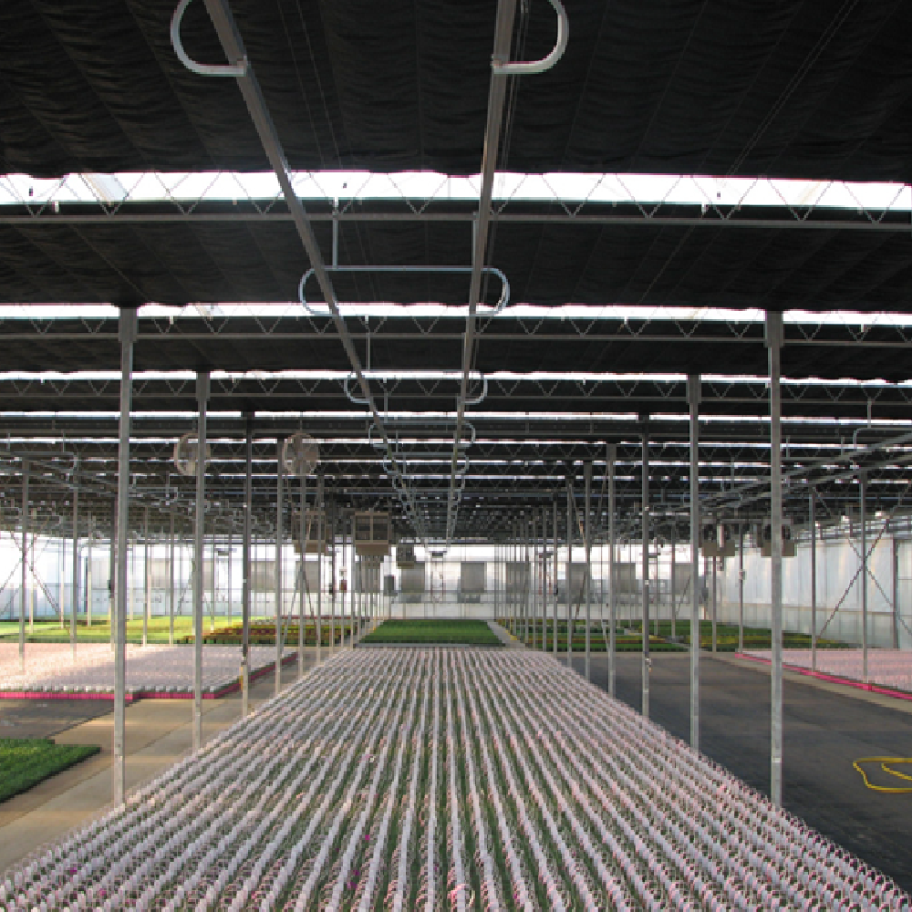Mushroom tunnel light deprivation greenhouse automated blackout greenhouse