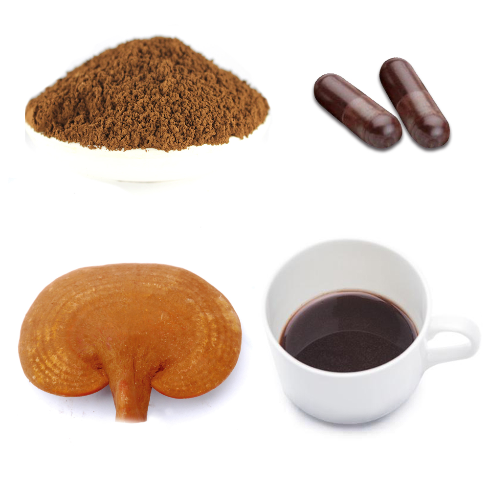 От 10% до 30% полисахаридные грибки, порошковый травяной экстракт Ganoderma Lucidum Reishi