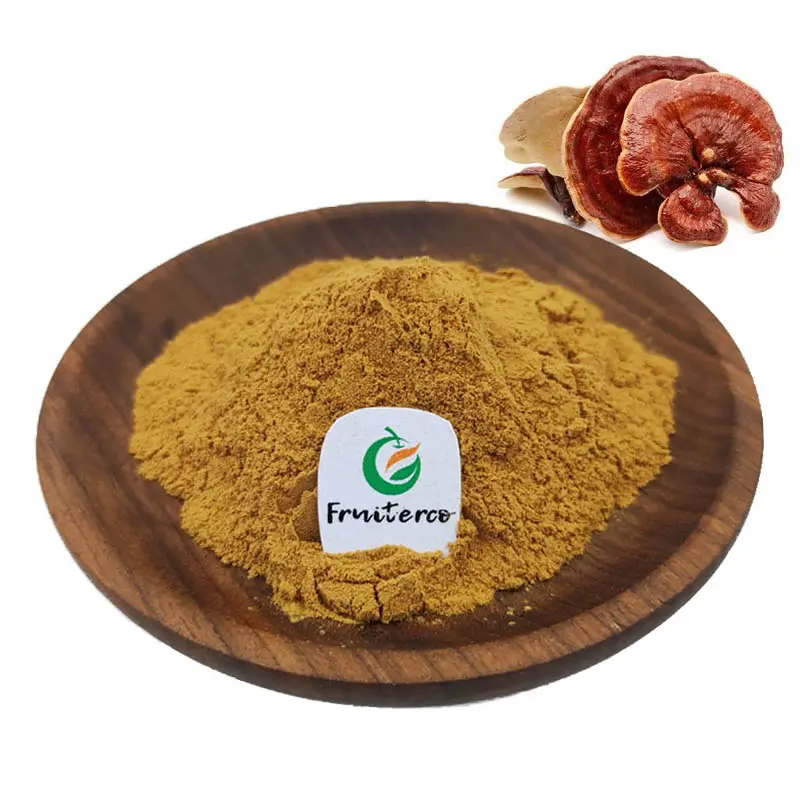 Organic Ganoderma Lucidum Reishi Mushroom Extract Powder Reishi Mushroom Extract