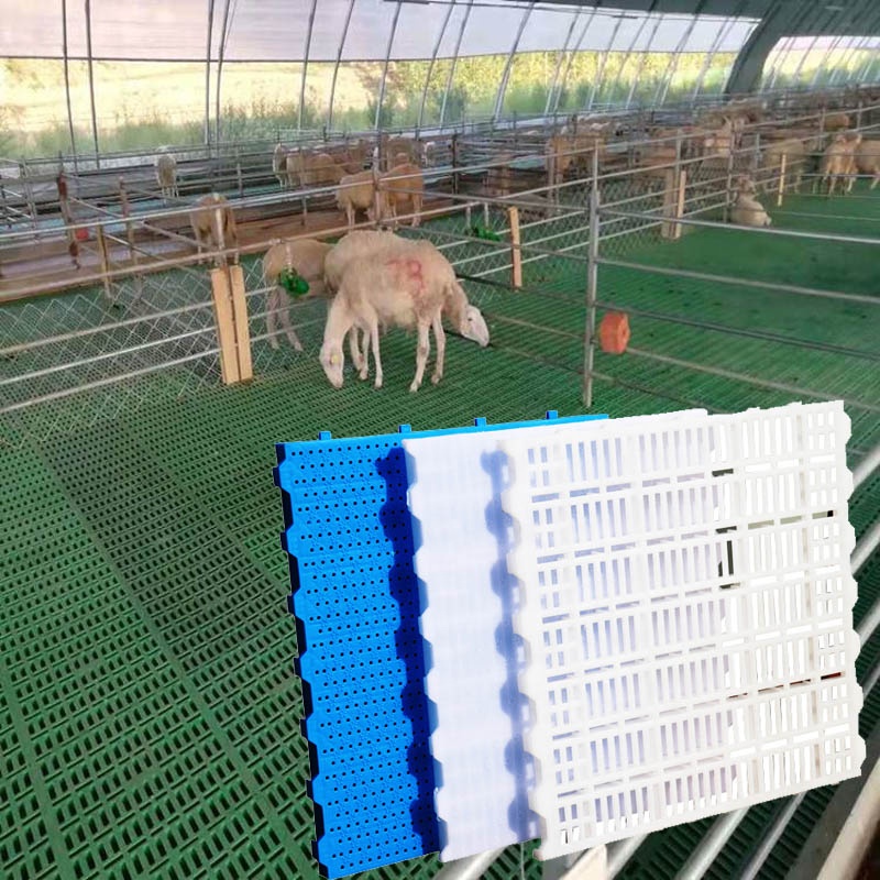 good quality factory directly plastic slat floor for pigs and goat